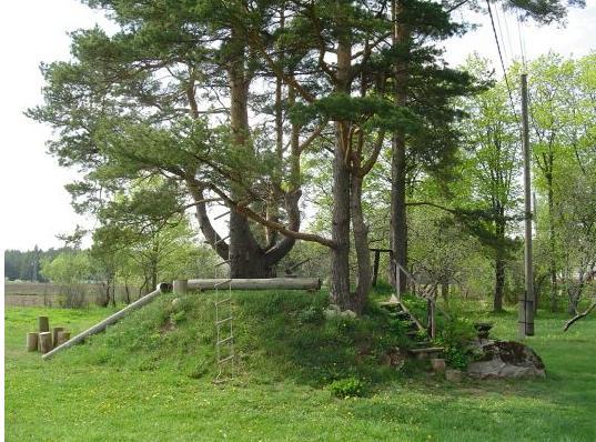Отель Kiige Holiday Park Linnamae Экстерьер фото